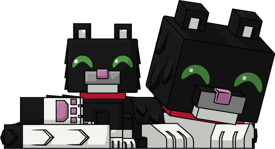Concept of Tuxedo Cat