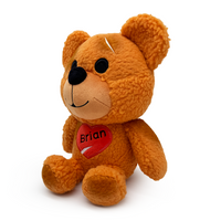 Teddy Bear Plush (9in)