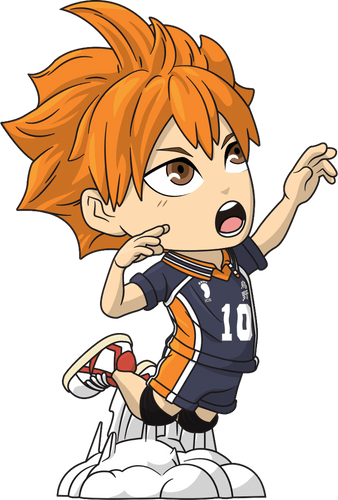 Concept of Shoyo Hinata