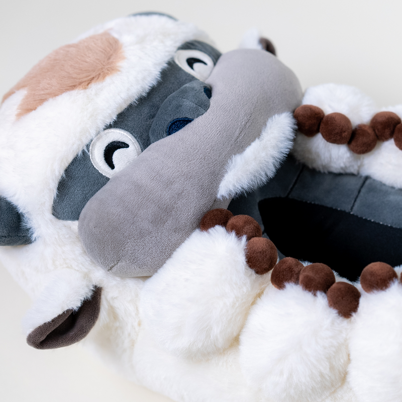 Appa Slippers