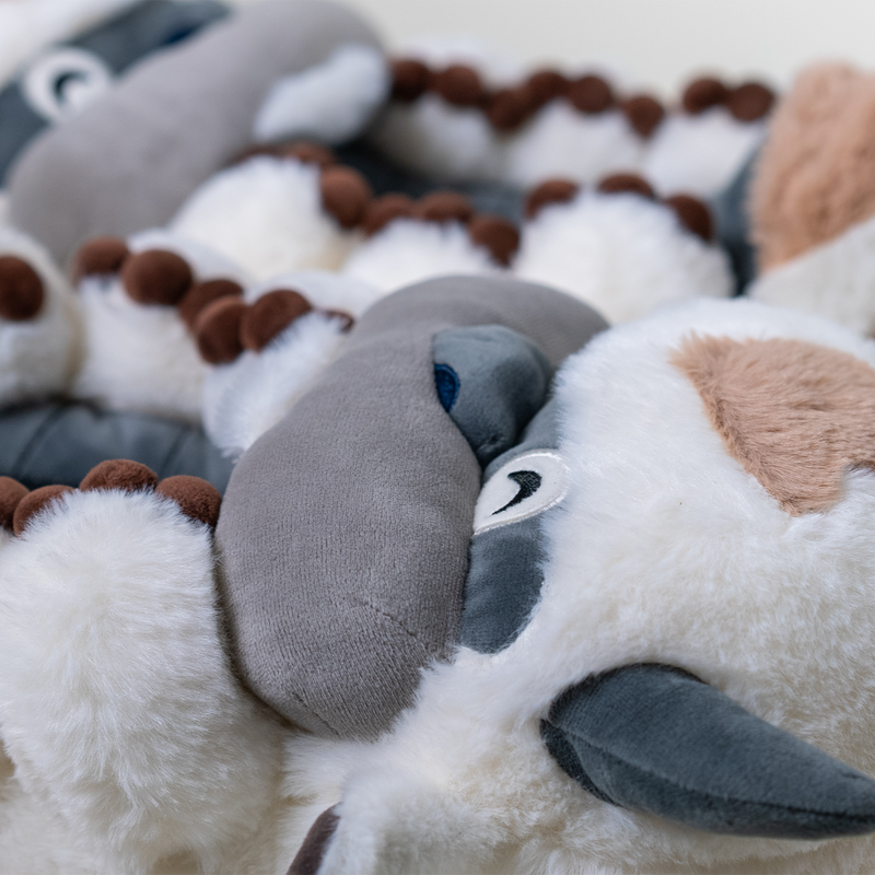 Appa Slippers
