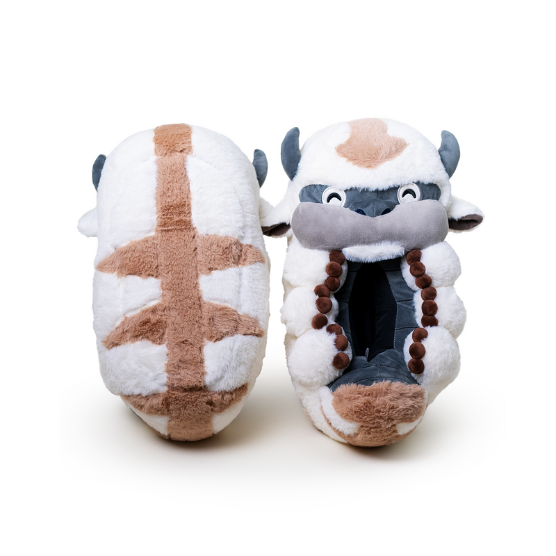 Appa Slippers