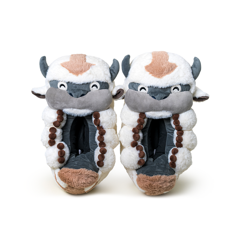 Appa Slippers