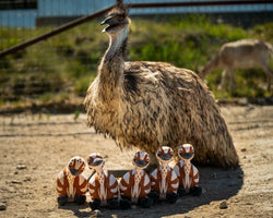 Real life picture of Stompy