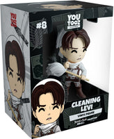 cleaninglevi