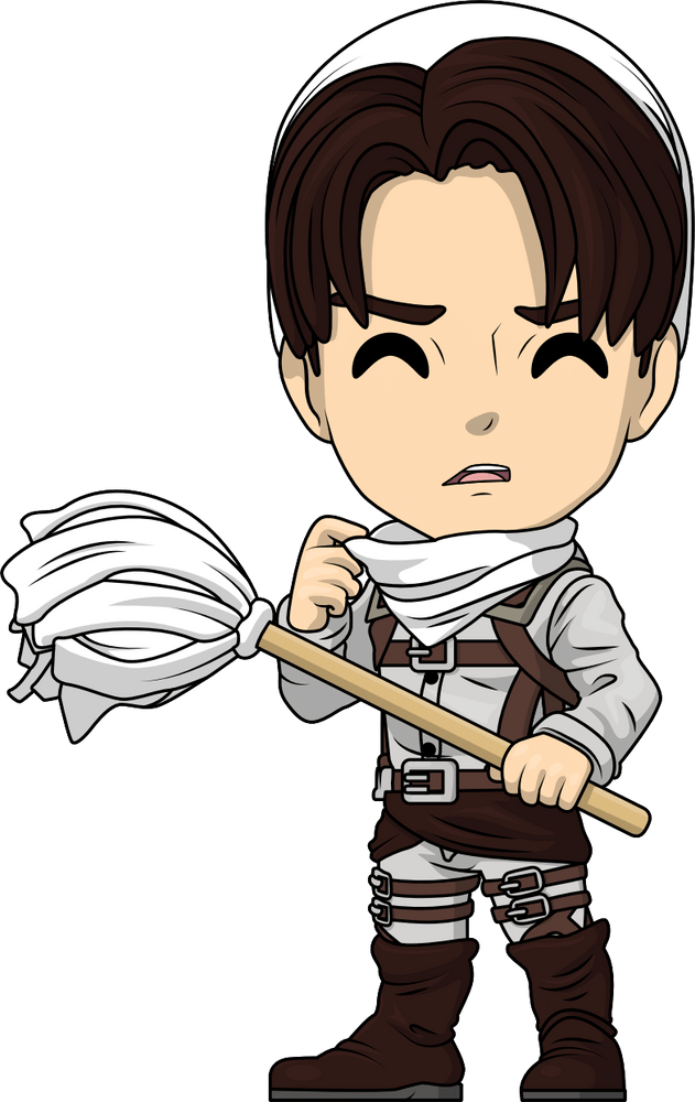 cleaninglevi