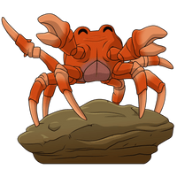 Crab Rave
