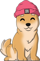Dogwifhat