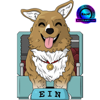 ein-regular