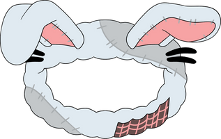 vannyheadband