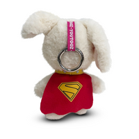 Krypto Keychain (5in)