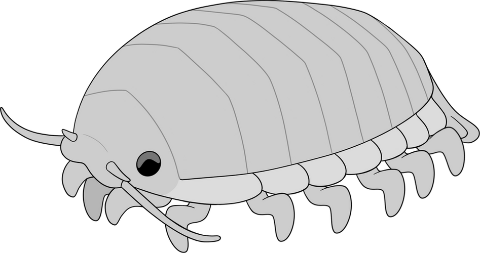 Concept of Sneepsnorp3D Plush (9in)
