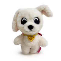 Krypto Keychain (5in)