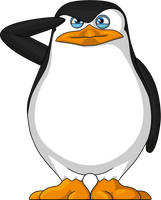 Skipper