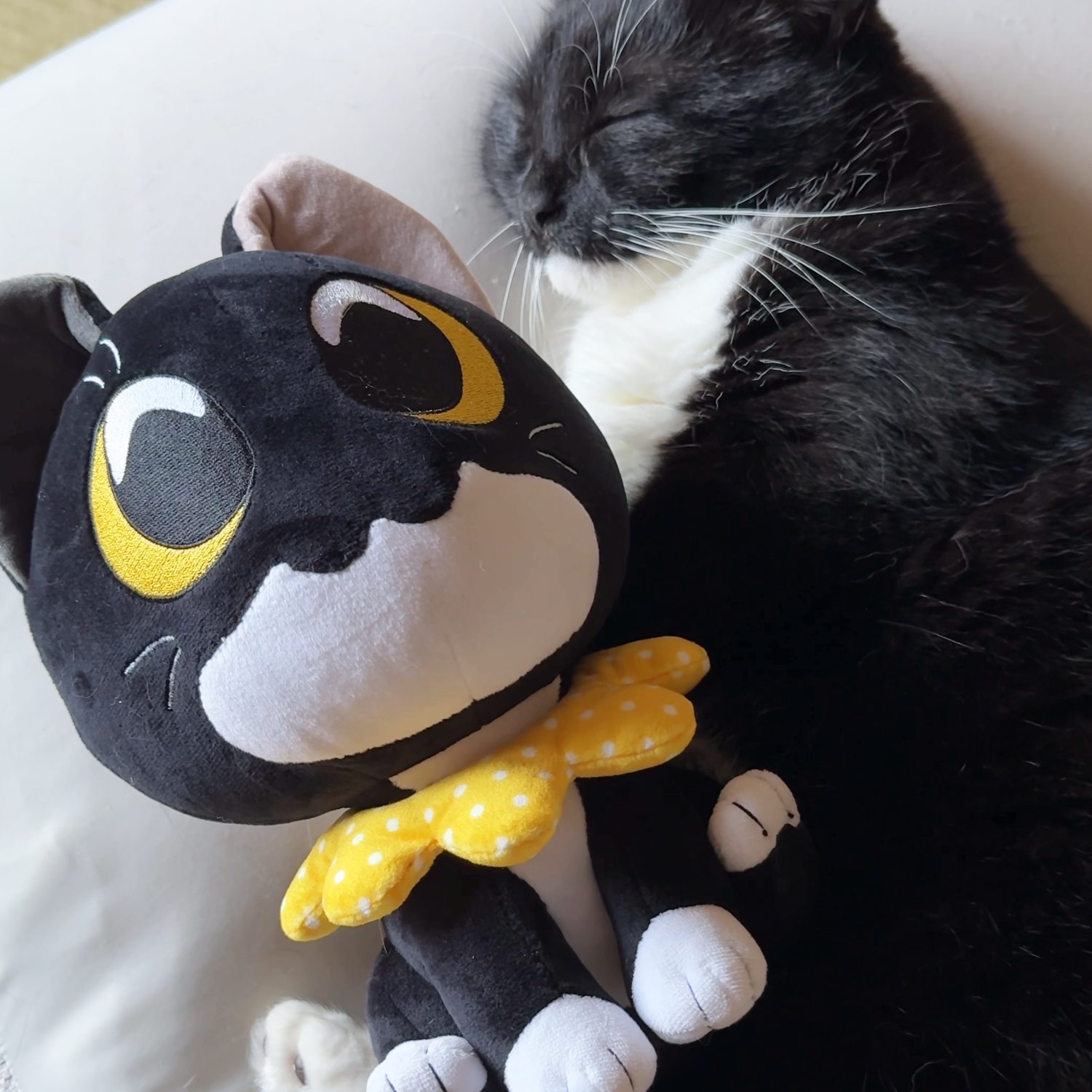 限定品!うに ぬいぐるみ youtooz タグ付き Uni Plush Uni V2 限定品!うに ぬいぐるみ youtooz タグ付き Uni Plush Uni V2