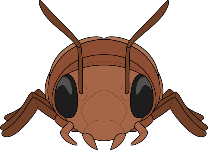 Concept of Radroach Plush (9in)