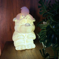 Banjo-Kazooie Night Light
