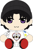 Divided Plush (9in)