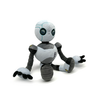 The Wild Robot Plush (9in)