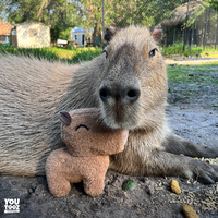 capybara-plush