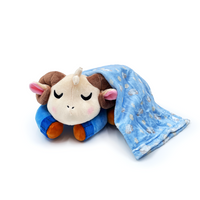 rammiesleepy