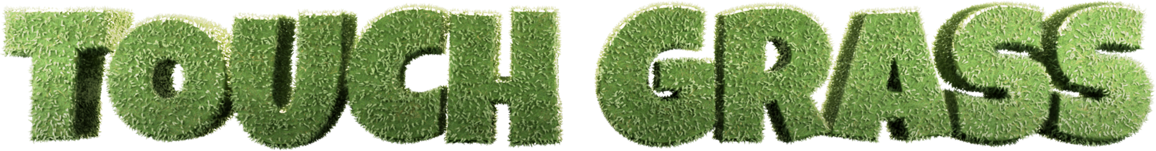 Touch Grass